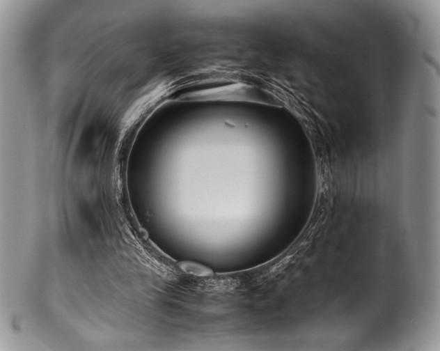 X0000100880245200806201252