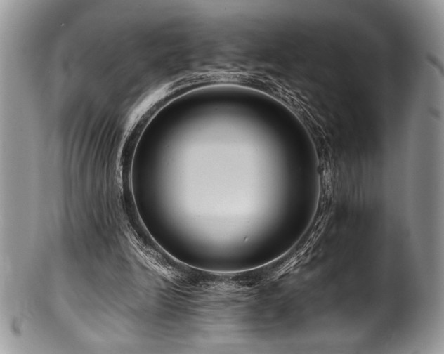 X0000100880246200806201252