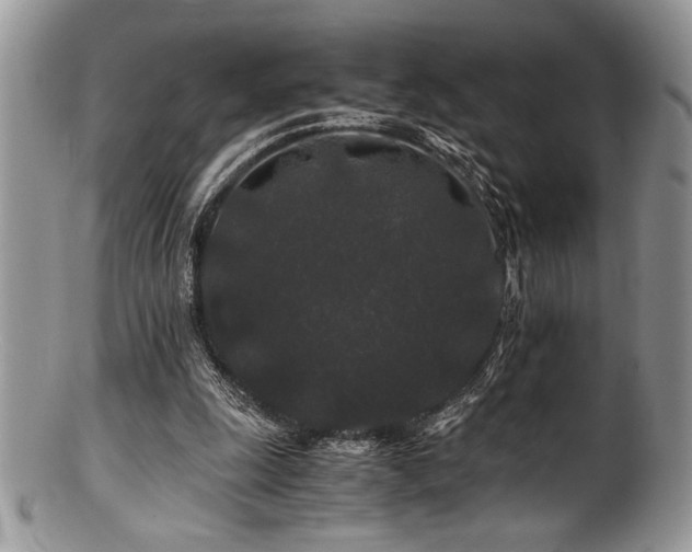 X0000100880247200806201252