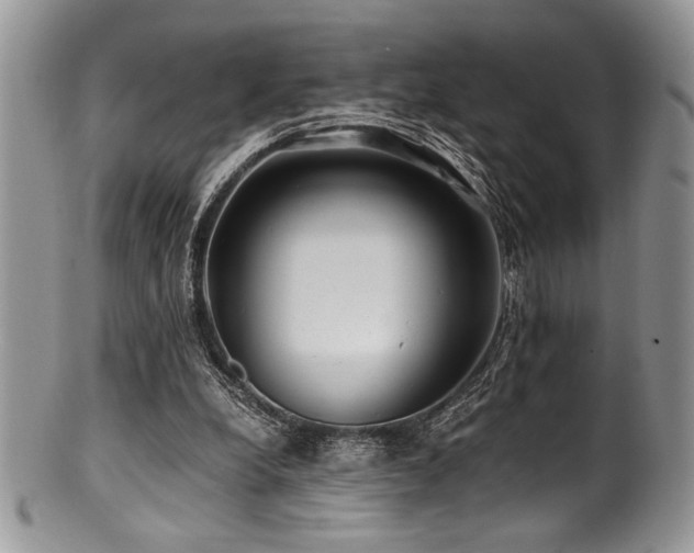 X0000100880248200806201252