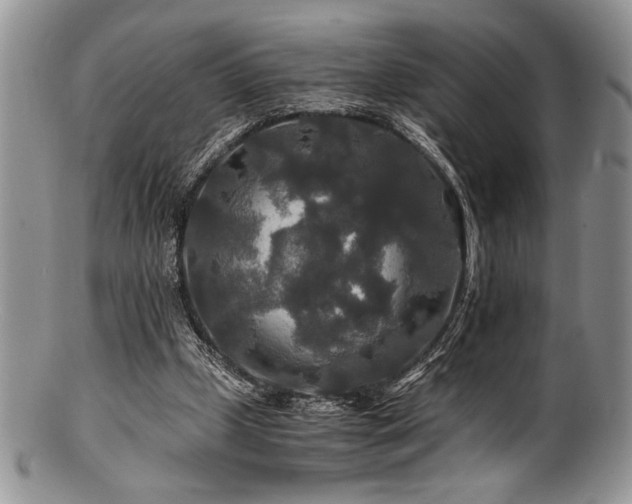 X0000100880249200806201252