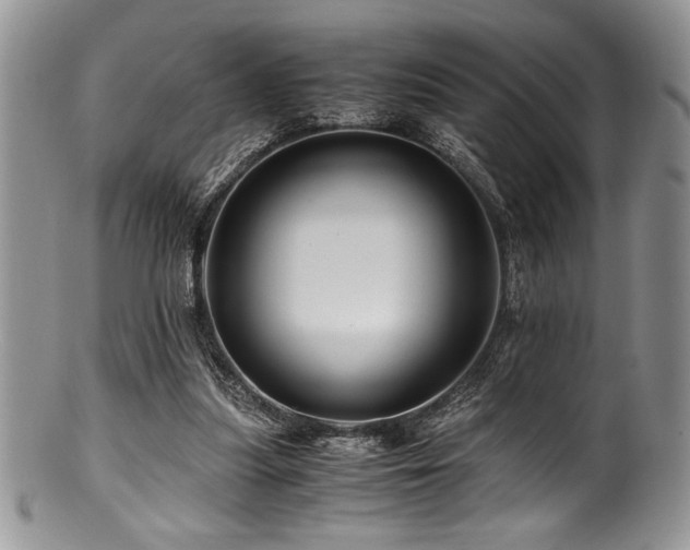 X0000100880251200806201252