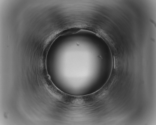 X0000100880252200806201253