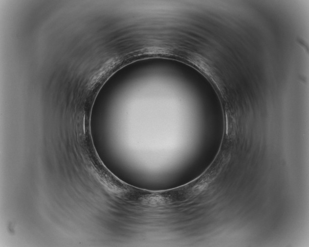 X0000100880253200806201253