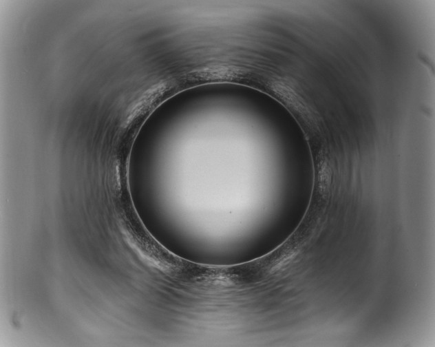 X0000100880254200806201253