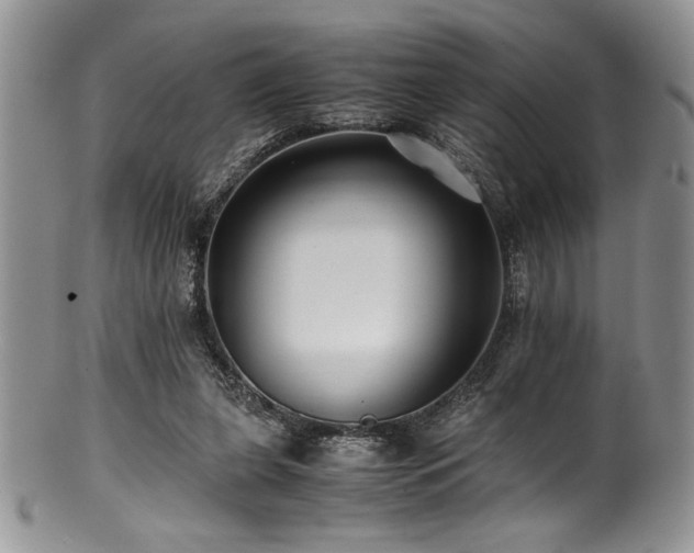 X0000100880255200806201253