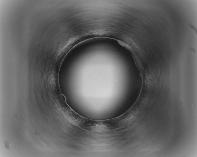 X0000100880256200806201253