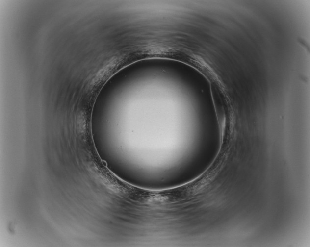 X0000100880257200806201253