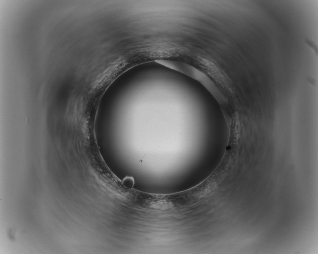 X0000100880258200806201253