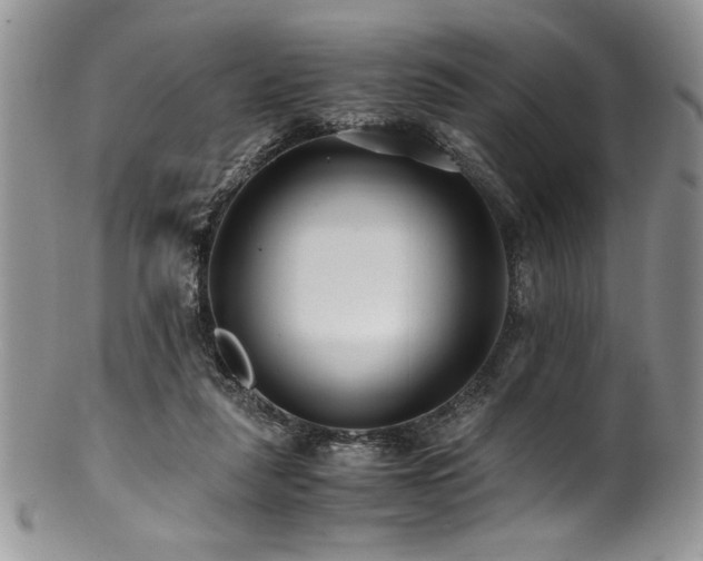 X0000100880259200806201253