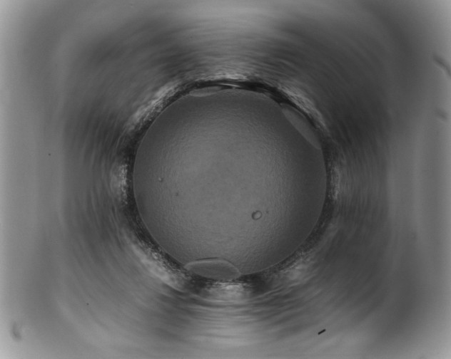 X0000100880260200806201253