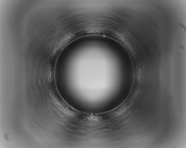 X0000100880261200806201253