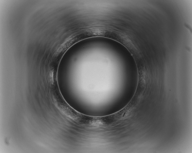 X0000100880262200806201253