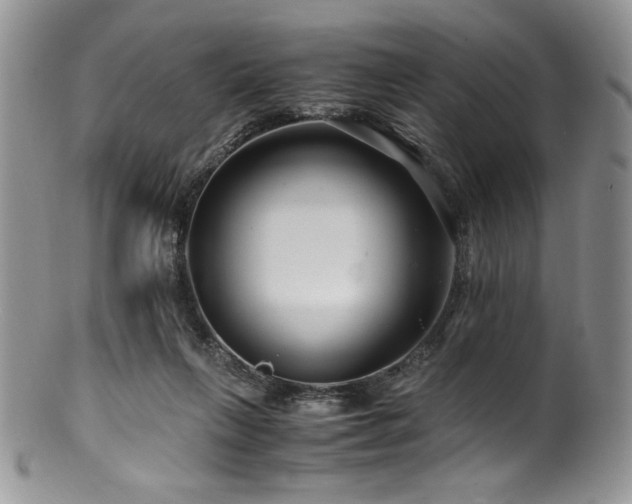 X0000100880263200806201253