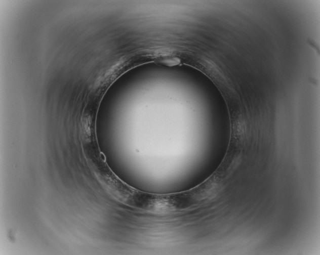 X0000100880264200806201253