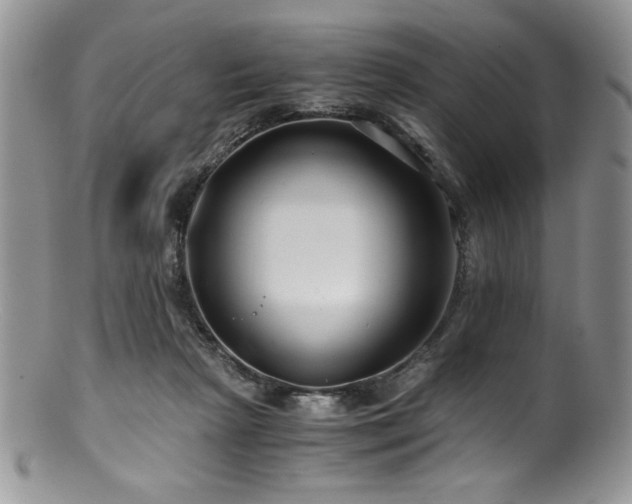 X0000100880265200806201253