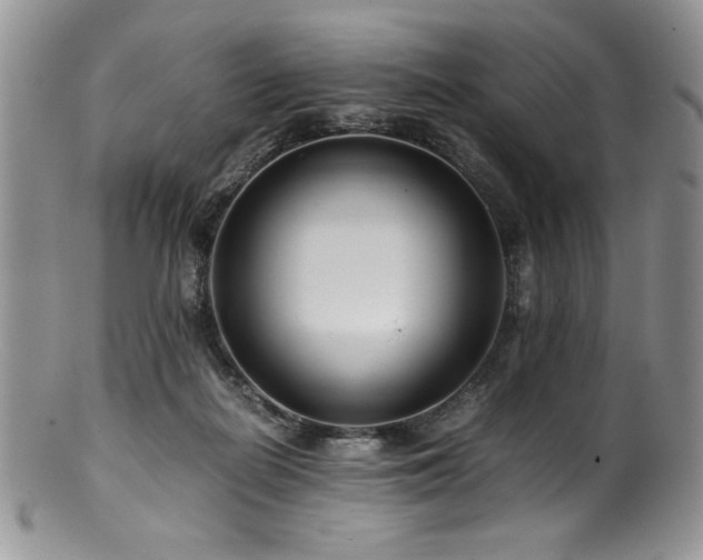 X0000100880266200806201253