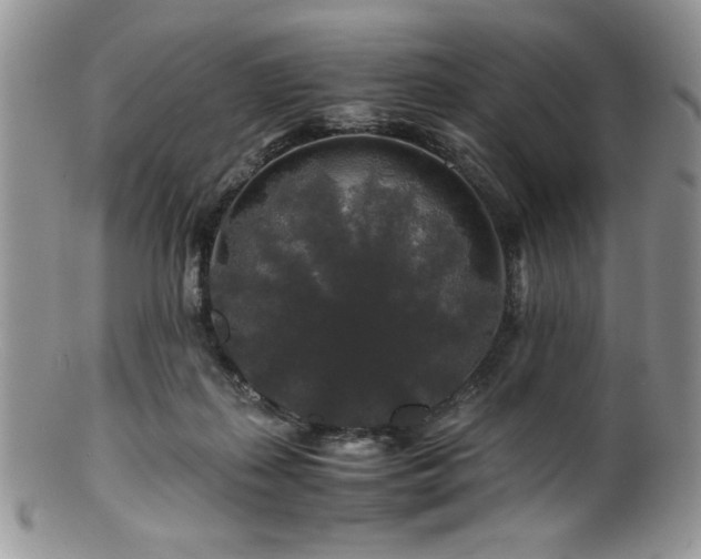 X0000100880267200806201253