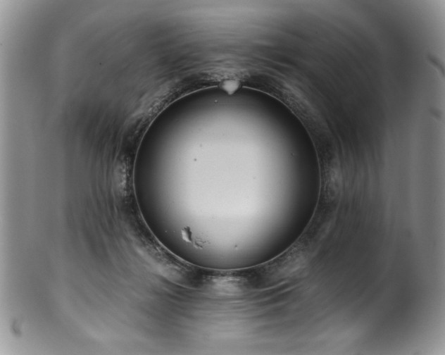 X0000100880268200806201253