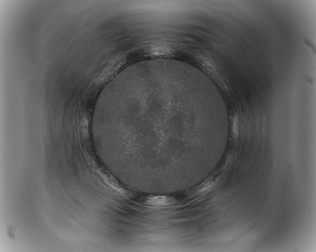 X0000100880269200806201253