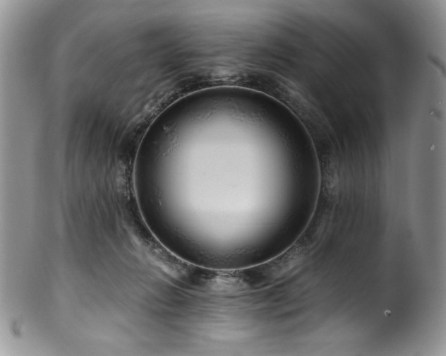 X0000100880270200806201253