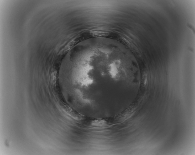 X0000100880271200806201253