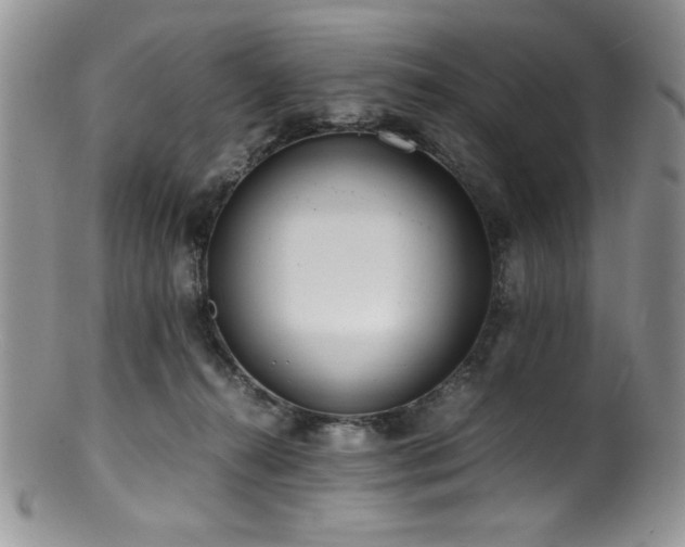 X0000100880272200806201253