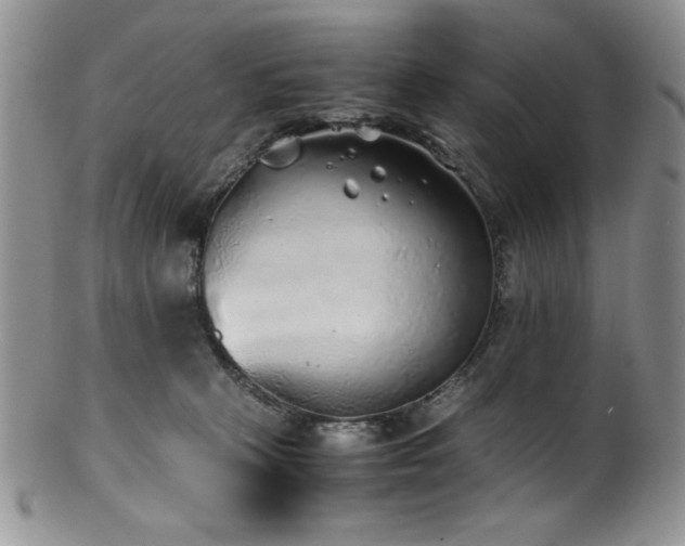 X0000100880273200806201253