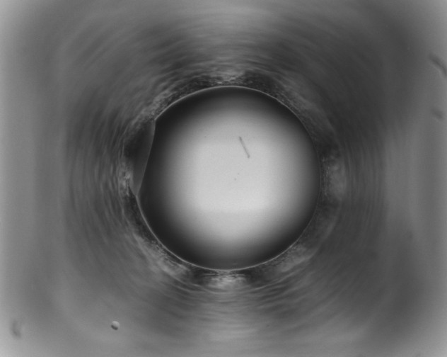 X0000100880274200806201253