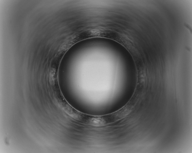 X0000100880275200806201253