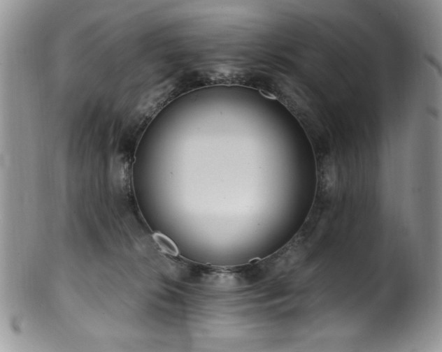 X0000100880276200806201253