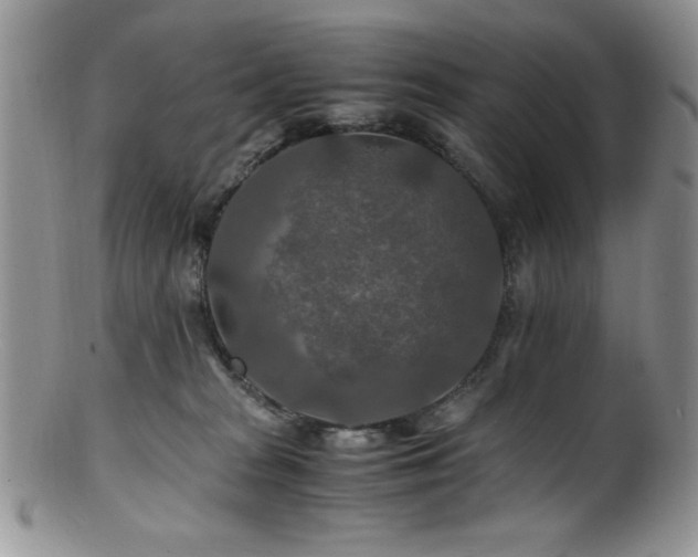 X0000100880277200806201253