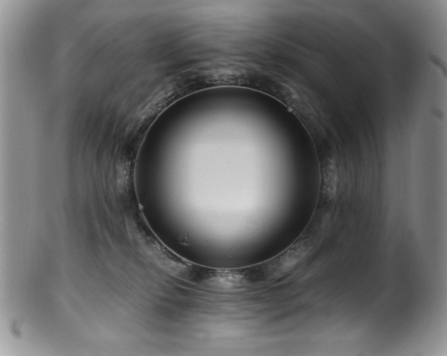 X0000100880278200806201253