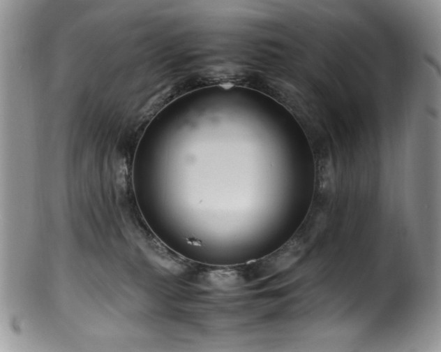 X0000100880279200806201253