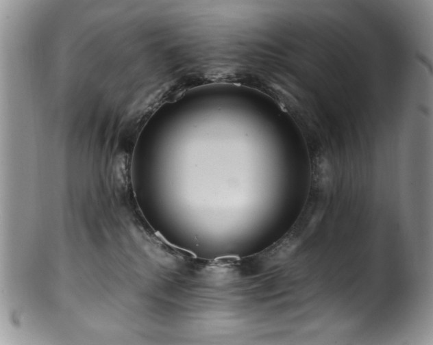 X0000100880280200806201253