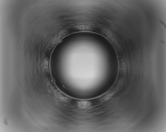 X0000100880281200806201253