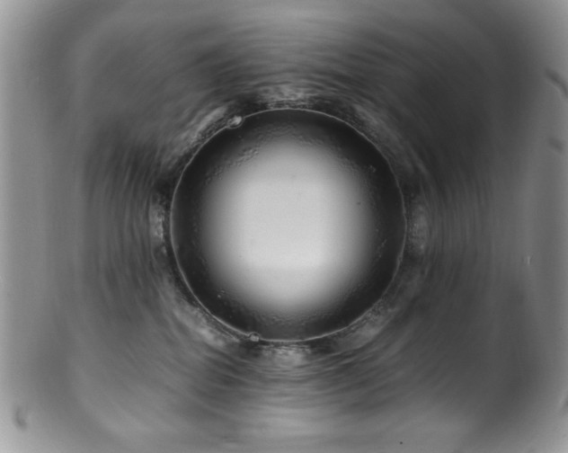 X0000100880282200806201253