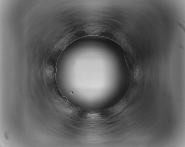 X0000100880283200806201253