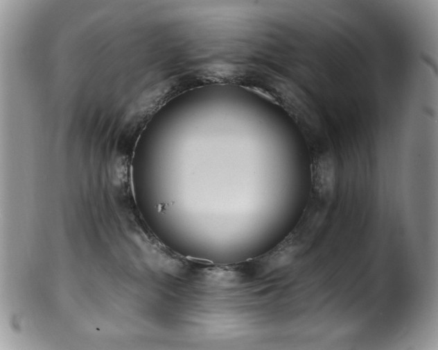 X0000100880284200806201253