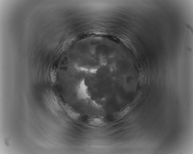 X0000100880285200806201253