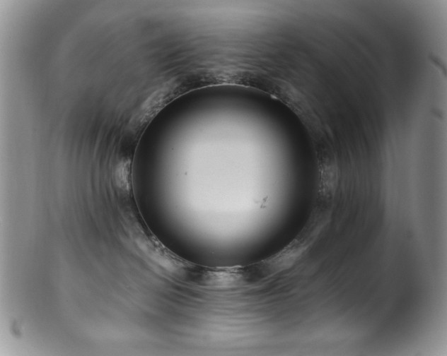 X0000100880286200806201253