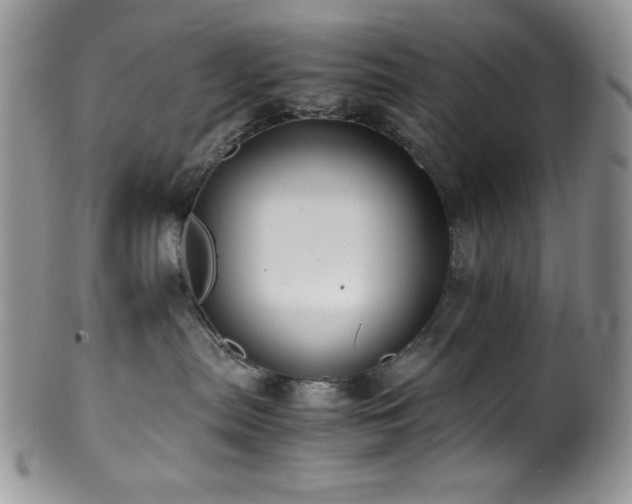 X0000100880287200806201253