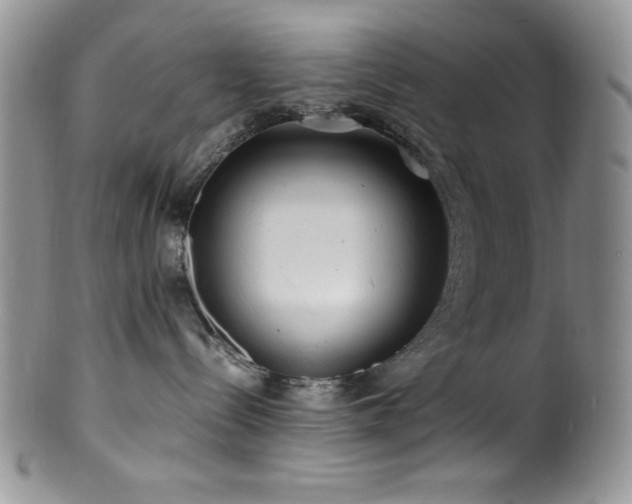 X0000100880288200806201253