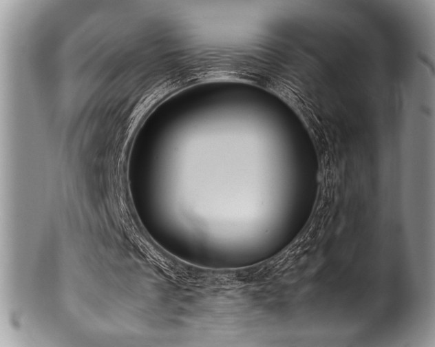 X0000100880289200806201252