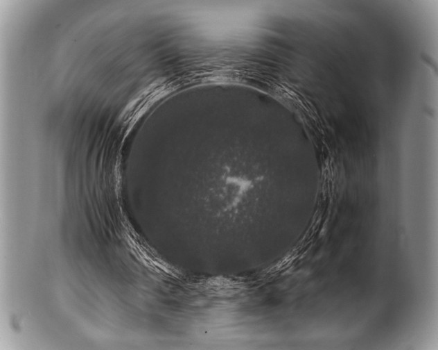 X0000100880290200806201252