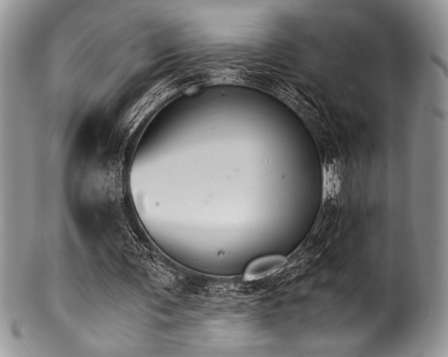 X0000100880291200806201252