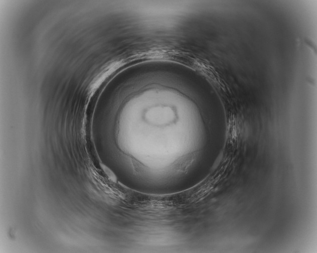 X0000100880292200806201252