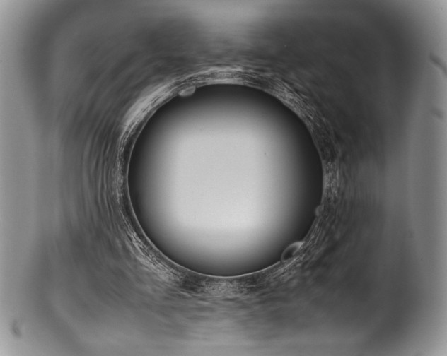 X0000100880293200806201252