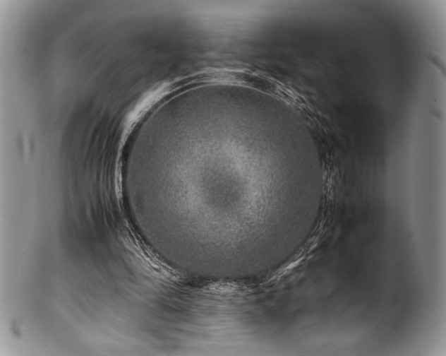 X0000100880294200806201252