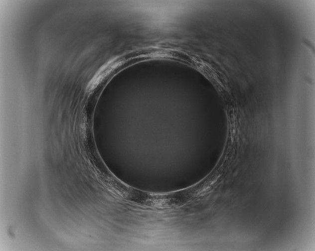 X0000100880295200806201252